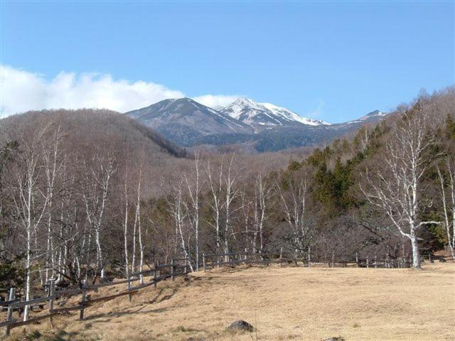 Onsen Inn 36So Matsumoto Bagian luar foto